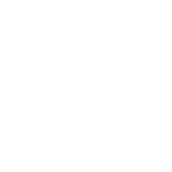 Veganiškas