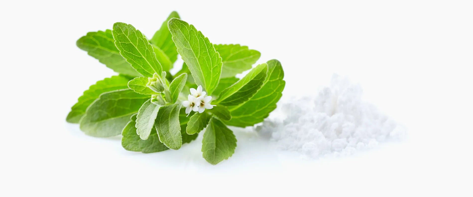 Energy & Focus Tabs – Orange – kofeino, L - teanino ir L - tirozino tabletės koncentracijai ir budrumui palaikyti, saldintos stevija - Realsport.lt