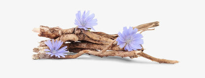 Probiotic Complex 30 mlrd. CFU | 15 bakterijų rūšių + prebiotikas - Realsport.lt